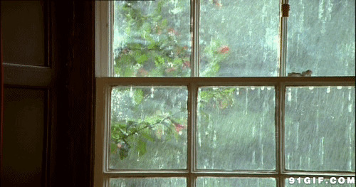 窗外下大雨唯美动态图