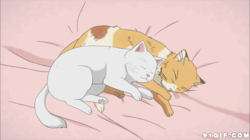 小猫睡觉卡通图片:猫猫,睡觉
