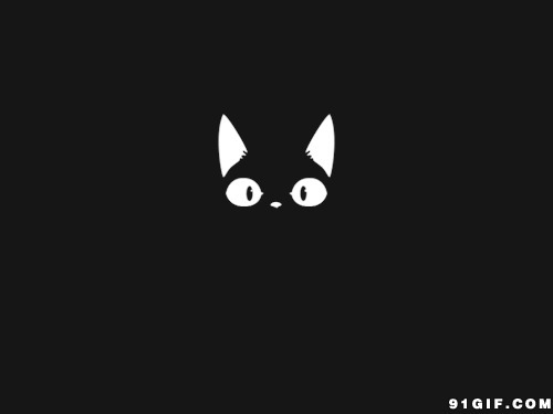 黑暗中的猫猫卡通图片