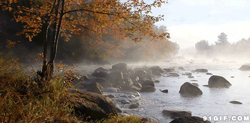 唯美丛林河水图片:风景,河水