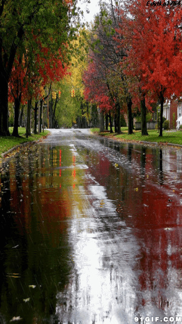 下雨唯美风景图片:唯美,下雨