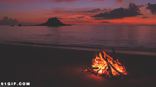 海滩火堆动态图:海滩,烧火,火焰,篝火