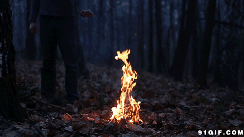 火焰燃烧动态图:燃烧,火焰,森林,篝火
