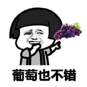 葡萄也不错表情图片