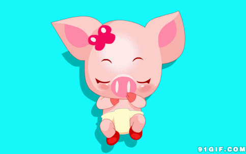 可爱小花猪动漫图片:小猪