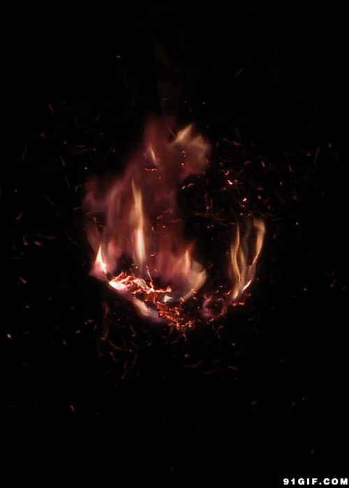 木柴燃烧的火焰gif图:火焰