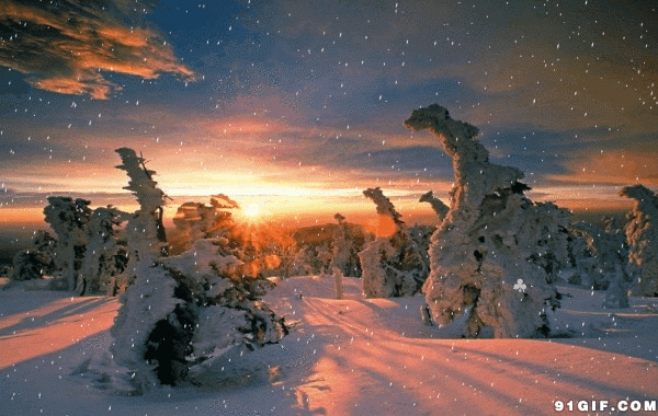 大雪纷飞的山林动态图:下雪