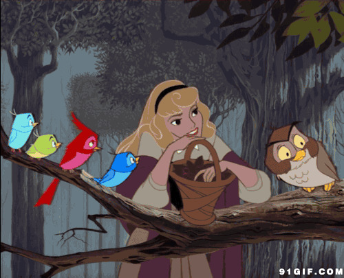 森林美丽公主动漫图片:童话