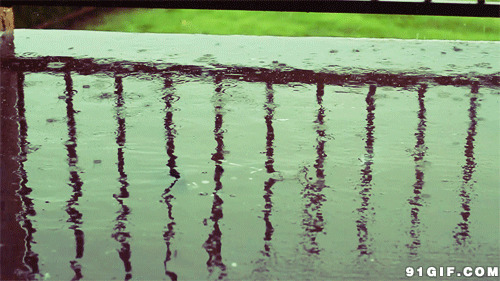 雨水滴落路面gif图:下雨