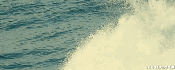 海豚海面跳跃动态图