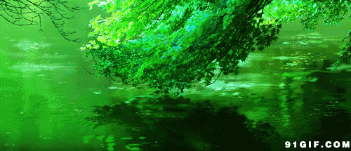 绿树湖畔唯美动态图