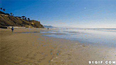 广阔的海滩gif图片