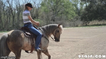 女子骑马溜圈动态图片:骑马