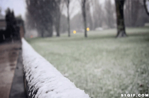下雪的季节gif图片:下雪