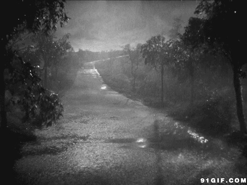 夜晚狂风暴雨动态图片:暴雨