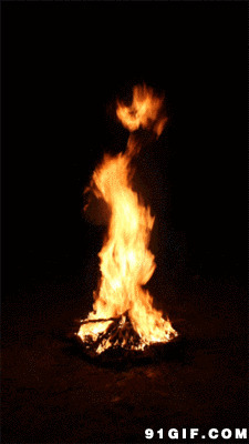 干柴燃烧的火焰gif图:火焰