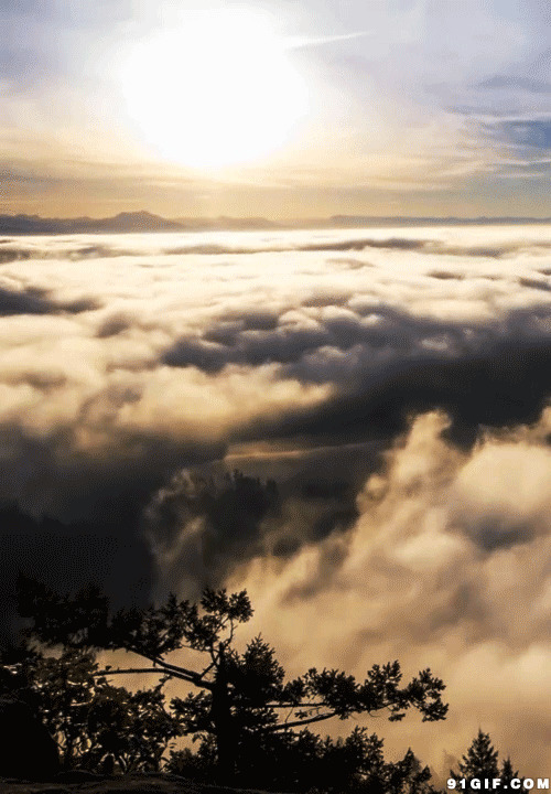 云海绕山林gif图片:云海