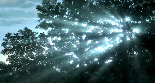 森林透射的阳光动画图片:阳光