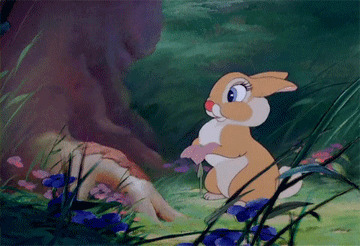 一只兔子动画图片:兔子