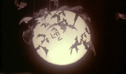 恶魔月下蝙蝠动态图:蝙蝠