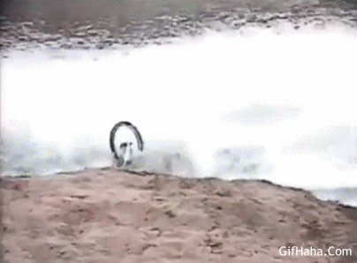 骑车坠海搞笑图片:落水