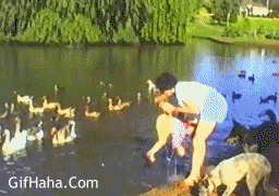 捞起落水小孩搞笑图片:落水