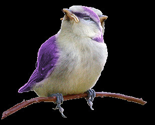 紫色小鸟透明gif素材 动态图片基地