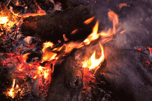 木材火焰燃烧动态图:火焰