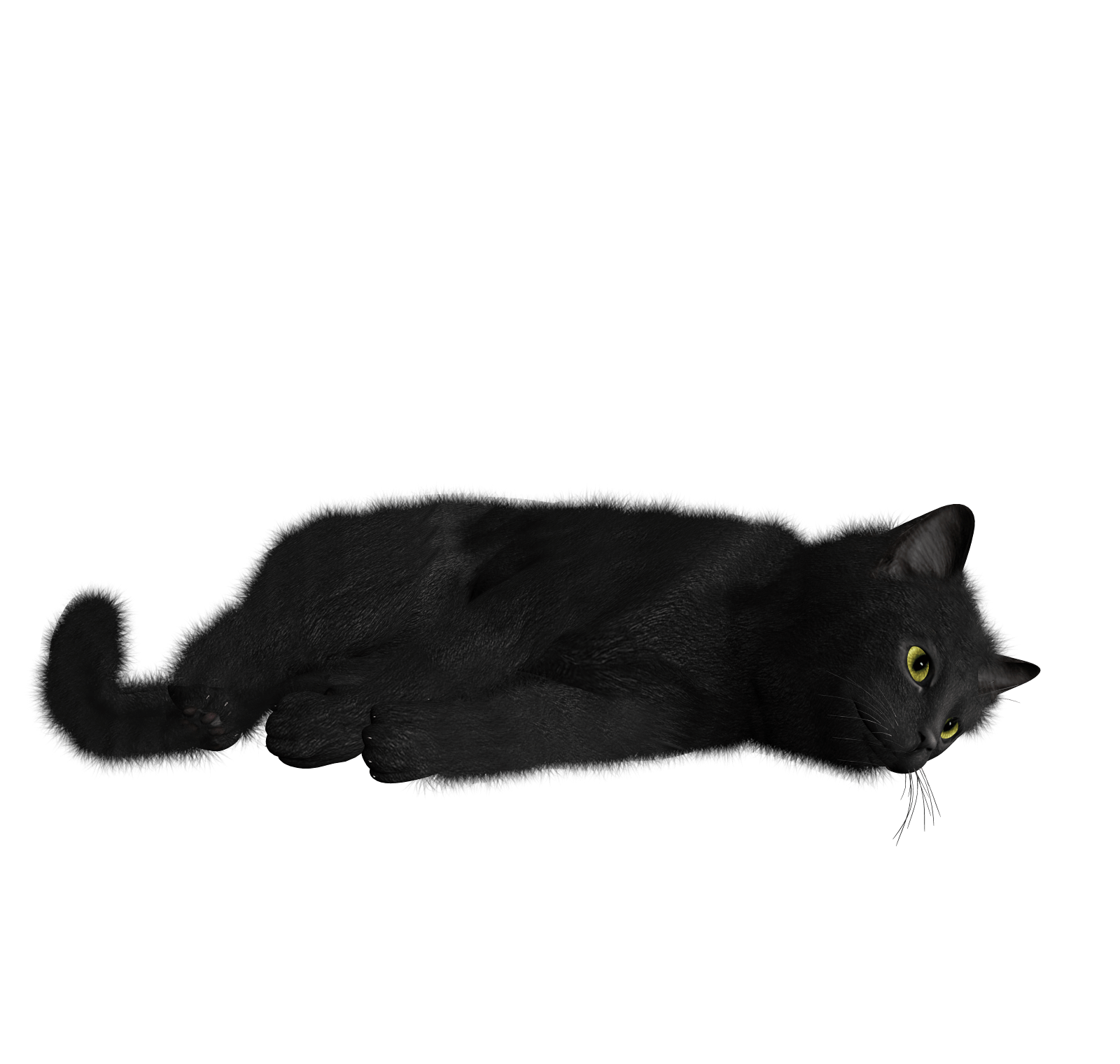 小黑猫PNG图片