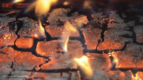 燃烧的火苗gif图片:火焰