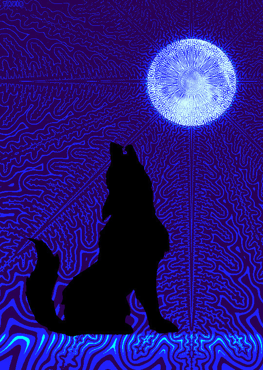 狼对月嚎叫艺术图片
