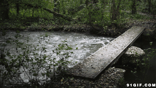 山谷小溪流水图片:流水