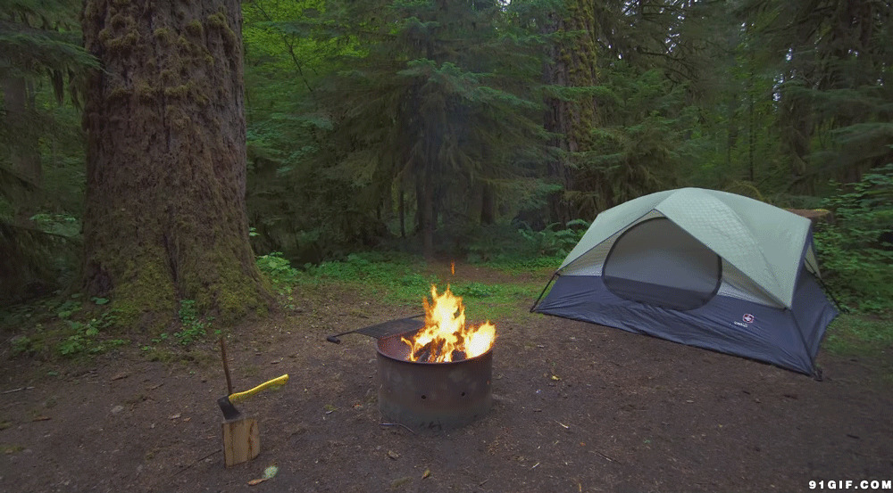 野外露营生火动态图片:火焰