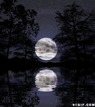 水中圆月唯美动漫图片:水中月