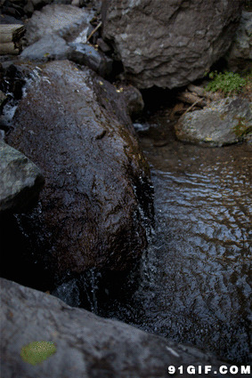 清澈的山泉水动态图片:山泉