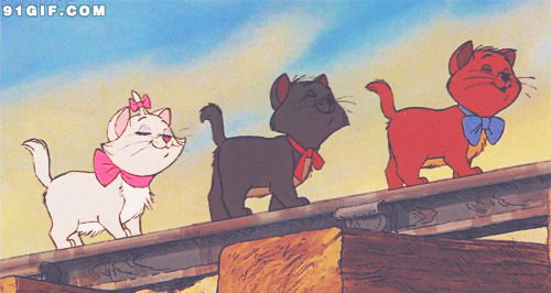 三只可爱猫咪动漫图片