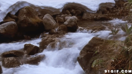 小河白花花水流淌闪图:河水