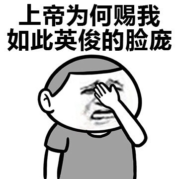 上帝为何赐我如此英俊的脸庞表情图片