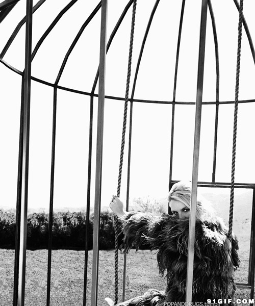 女人铁笼写真动态图片:铁笼