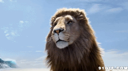 狮王的风采gif图片:狮子