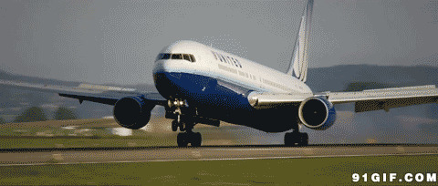 大型客机降落gif图片:降落
