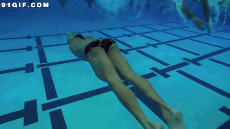 泳池潜水gif图:潜水