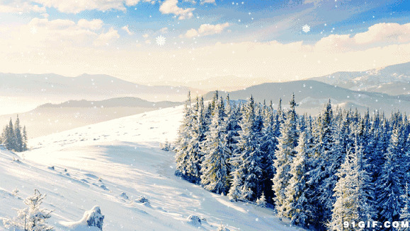 雪林风雪漫天动态图片:飘雪