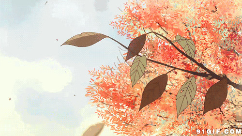 秋风落叶唯美动漫图片:落叶