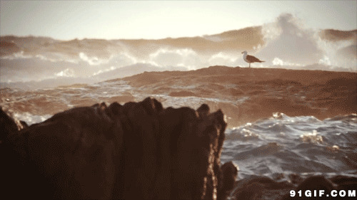 大海卷起浪花gif图片