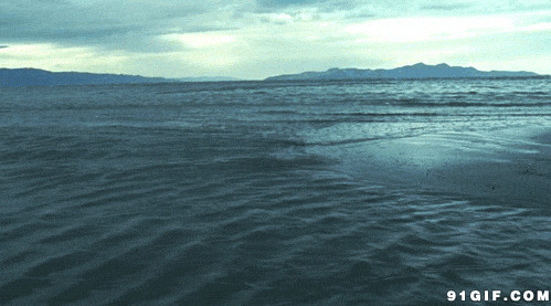 流动的海水gif图片:海水