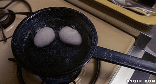 水煮鸭蛋gif图片:鸭蛋