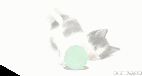 小猫咪玩毛线球闪图:猫猫