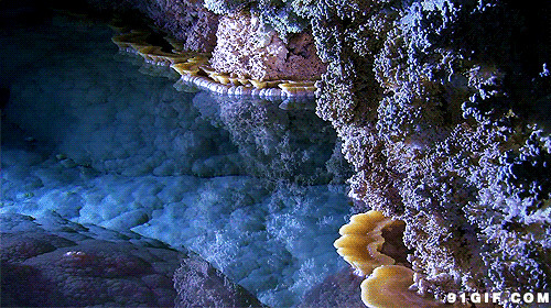 珊瑚湾清澈泉水闪图:泉水