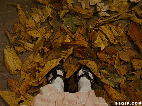脚下的枫叶动态图片